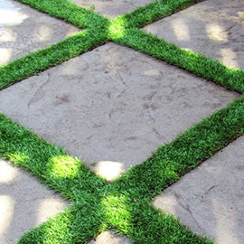 Artificial Grass