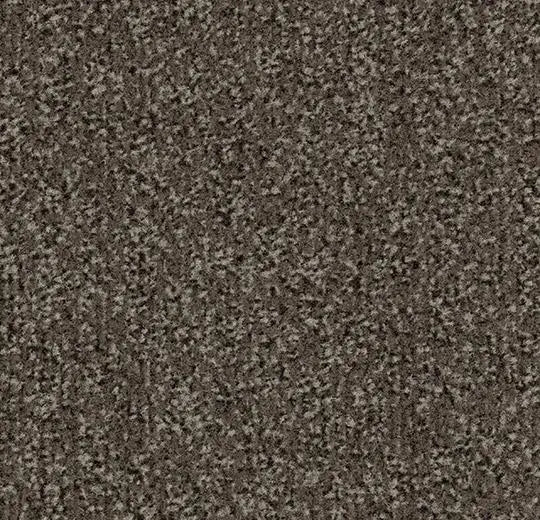 Coral Classic 4764 taupe