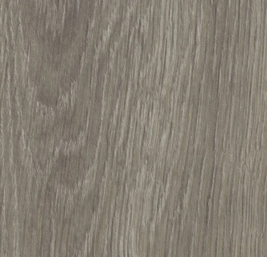 Forbo Allura Dryback 0.7 Grey Giant Oak 60280DR7