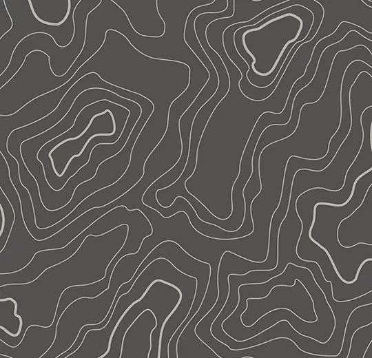 Sarlon Graphic Grey Topography
