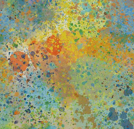 Sarlon Colour Multi Color Splash