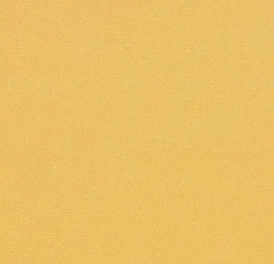 Sarlon Colour Golden Stardust