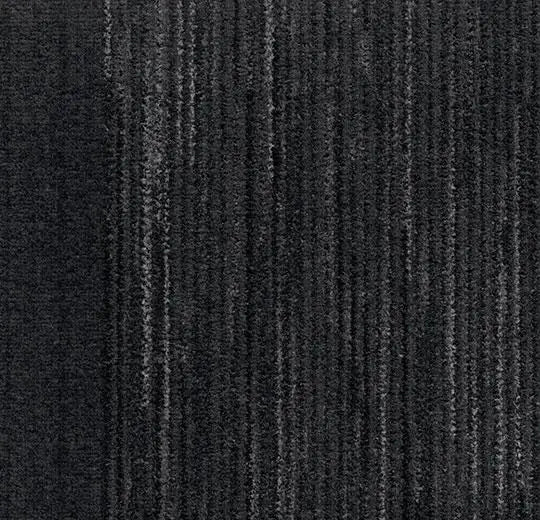 Coral Interior 1530 midnight shadow