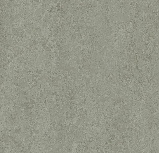 Forbo Marmoleum Modular t3889 cinder