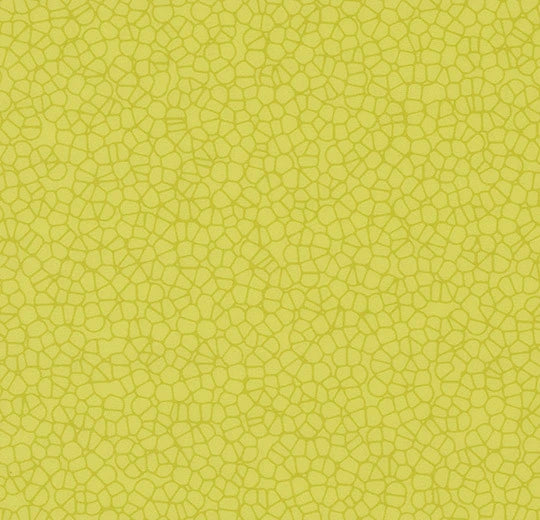 Sarlon Graphic Citrus Halo Contour