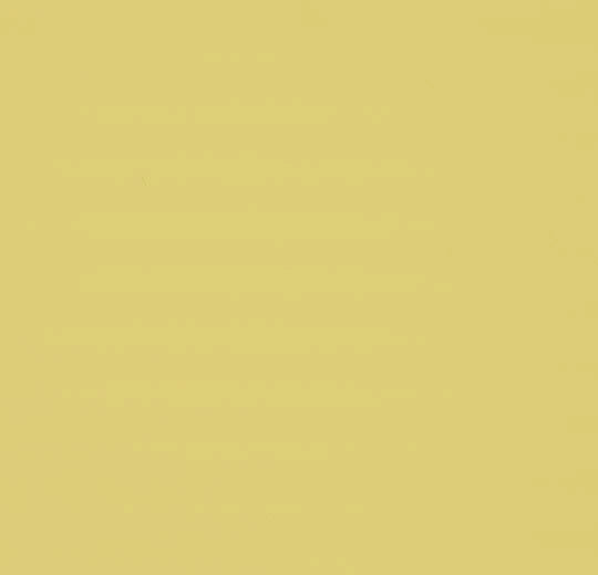 Sarlon Graphic Corn Uni
