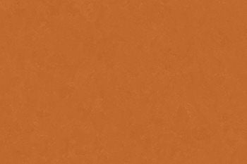 Altro Orchestra Salsa CH2802U