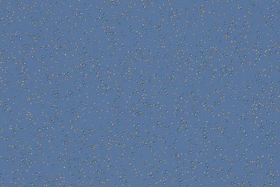 Altro Suprema Gentian SY20013