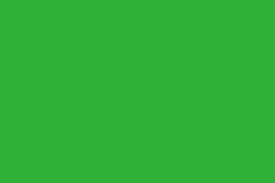 Altro Chameleon - Hawaiian Palm
