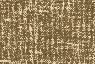 Altro Orchestra Carlotta CH2865U