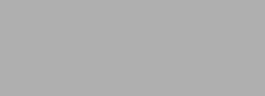 Altro Fortis Titanium Battleship FT/208