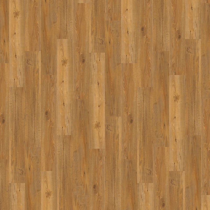 TLC Original Cambridge Oak 5176