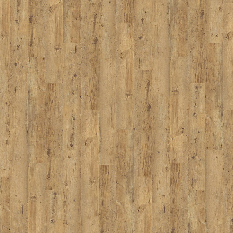 TLC Original Rustic Birch 5183