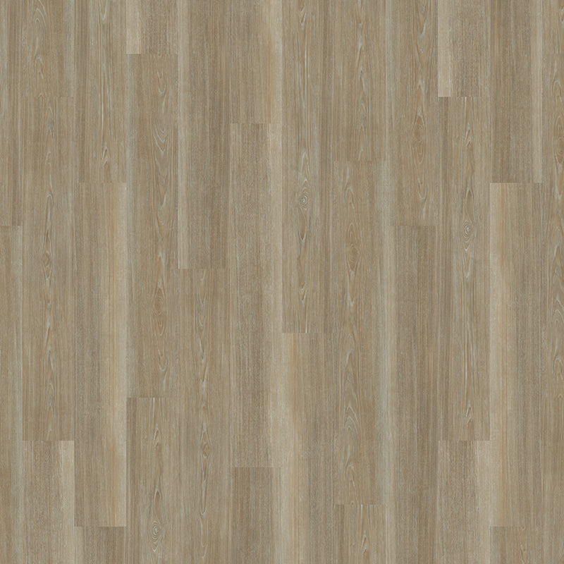 TLC Original Frosted Driftwood 5193