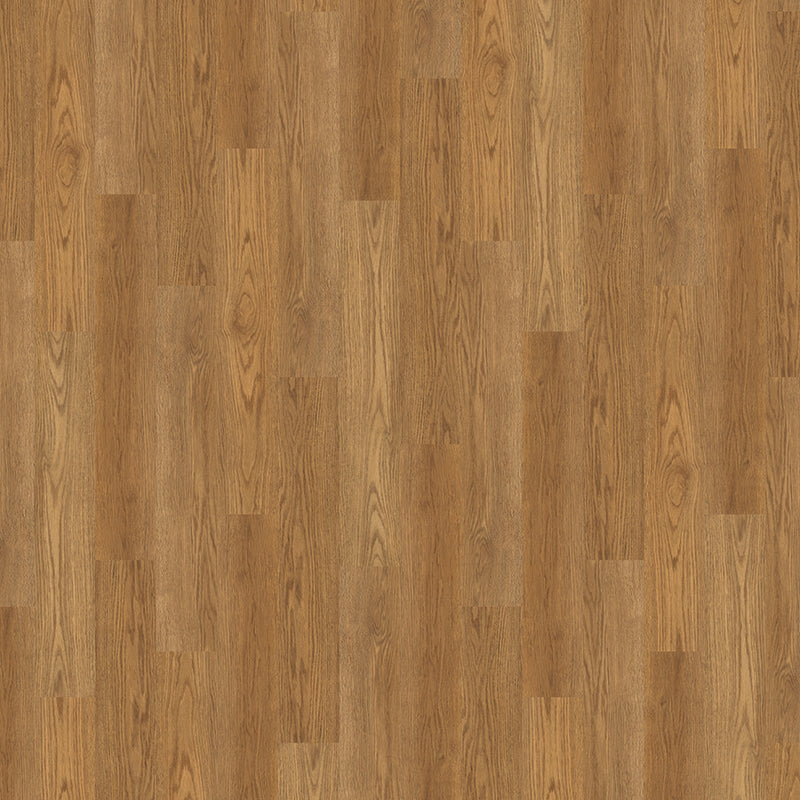 TLC Original Classic Oak 5175