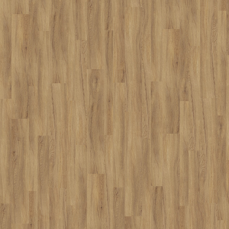 TLC Massimo Authentic Assorted Oak MWF5262