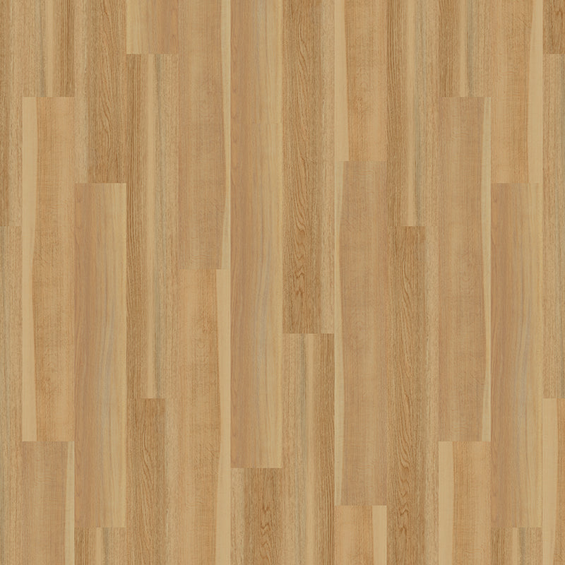 TLC Massimo English Oak PLK5263