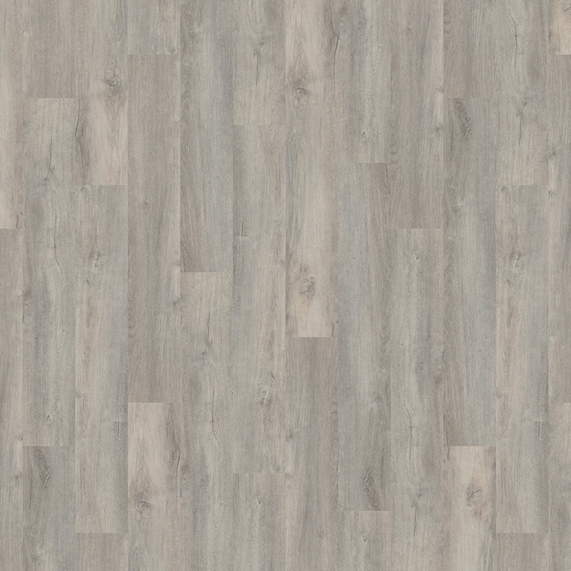 TLC Massimo Fairview Oak PLK5274