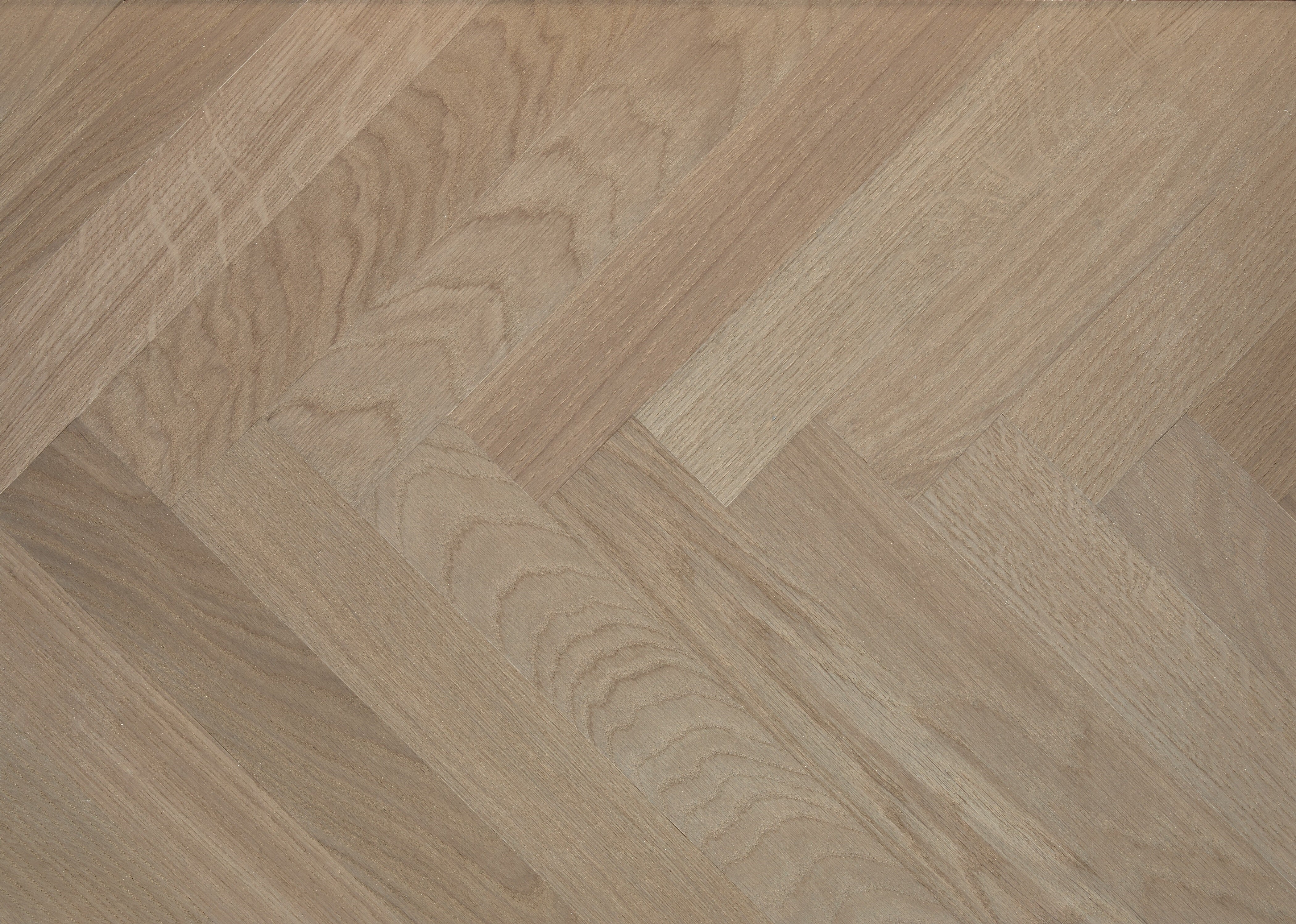 Hampstead Oak PAR1005