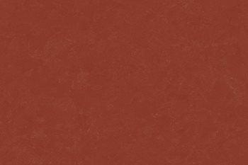 Altro Orchestra Flamenco CH2806U