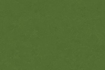 Altro Orchestra Jazz CH2824U
