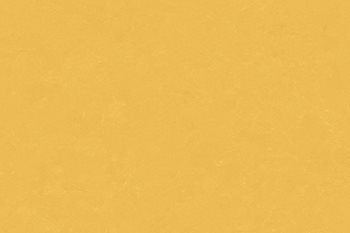 Altro Orchestra Reggae CH2801U