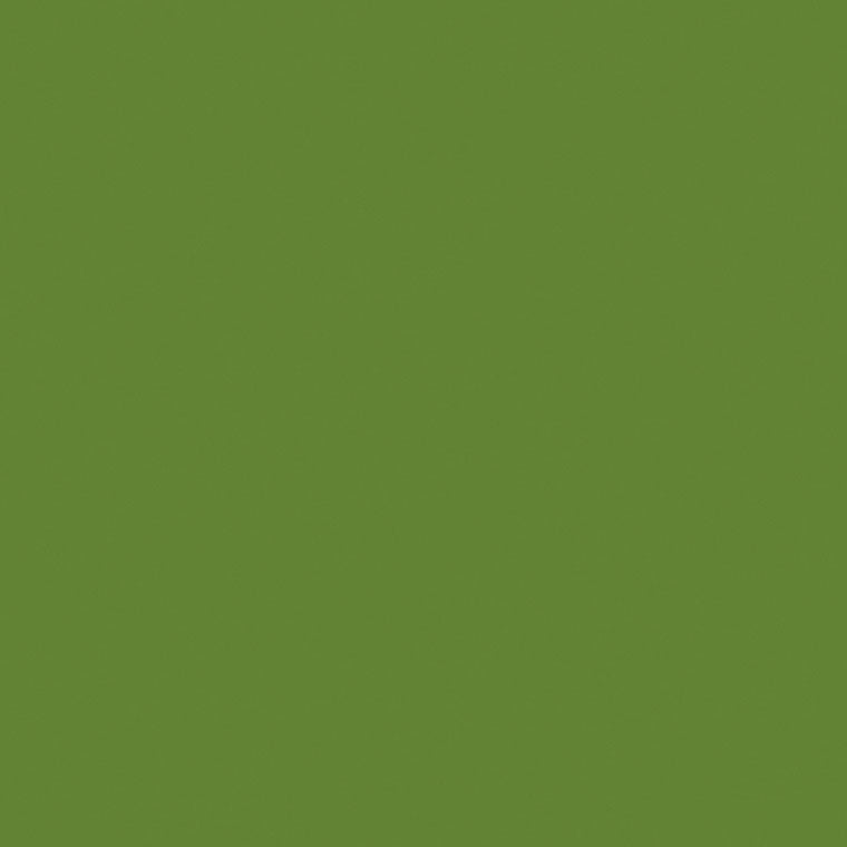 Amtico Signature Dublin AR0ACF83