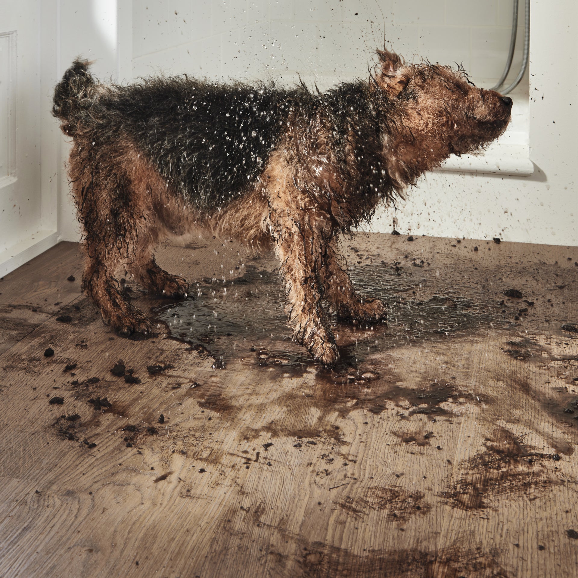 Karndean Van Gogh Rigid Core Smoked Butternut RKP8107