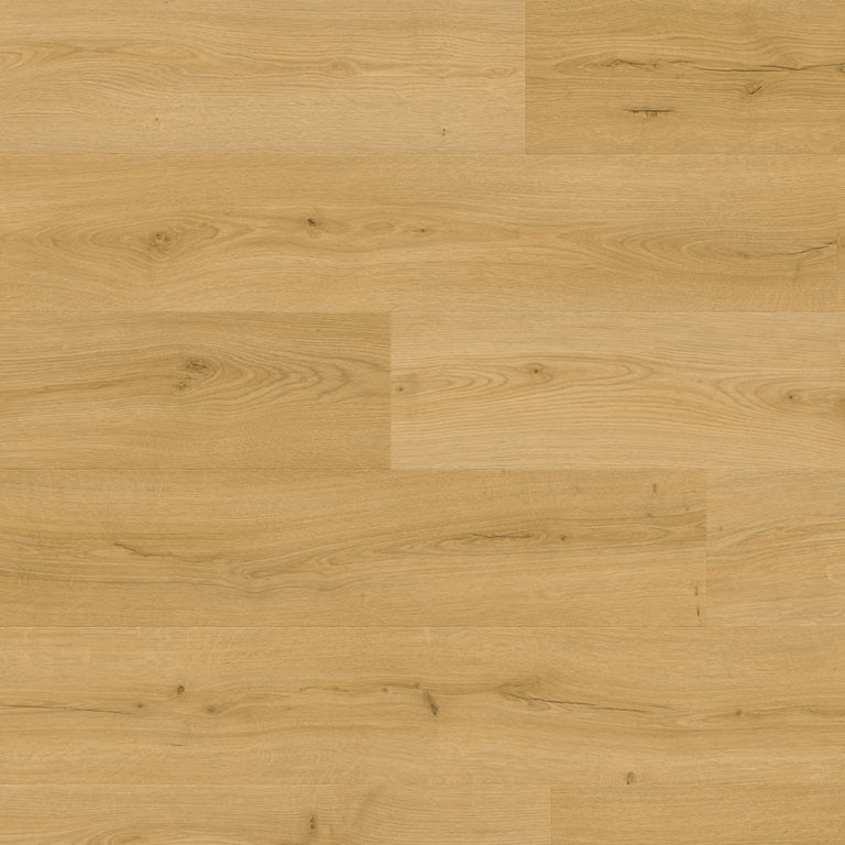 Brushed oak honey AVMPU40318