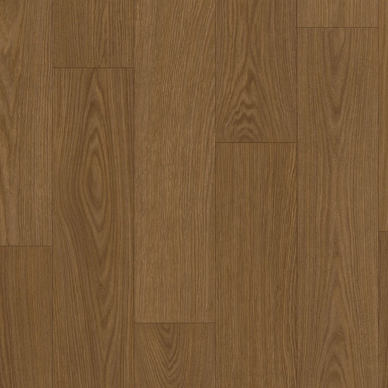 Cocoa oak AVSPT40279