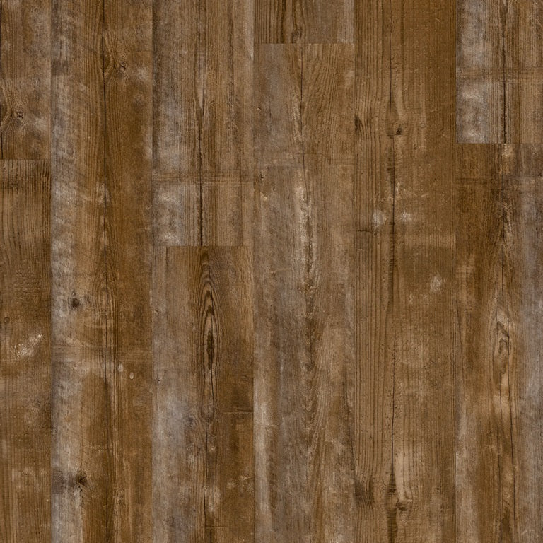 Sundown pine AVMPU40075