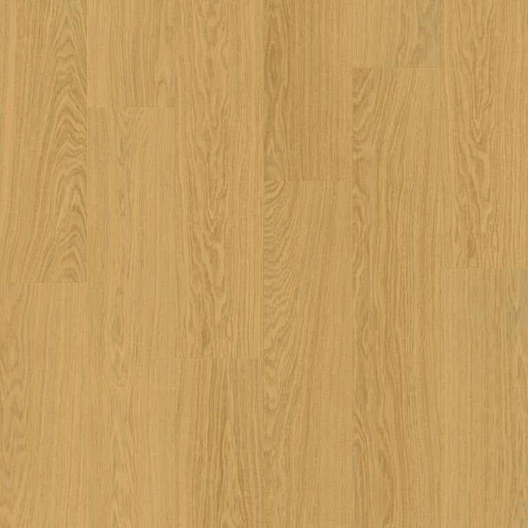 Pure oak honey AVMPU40098