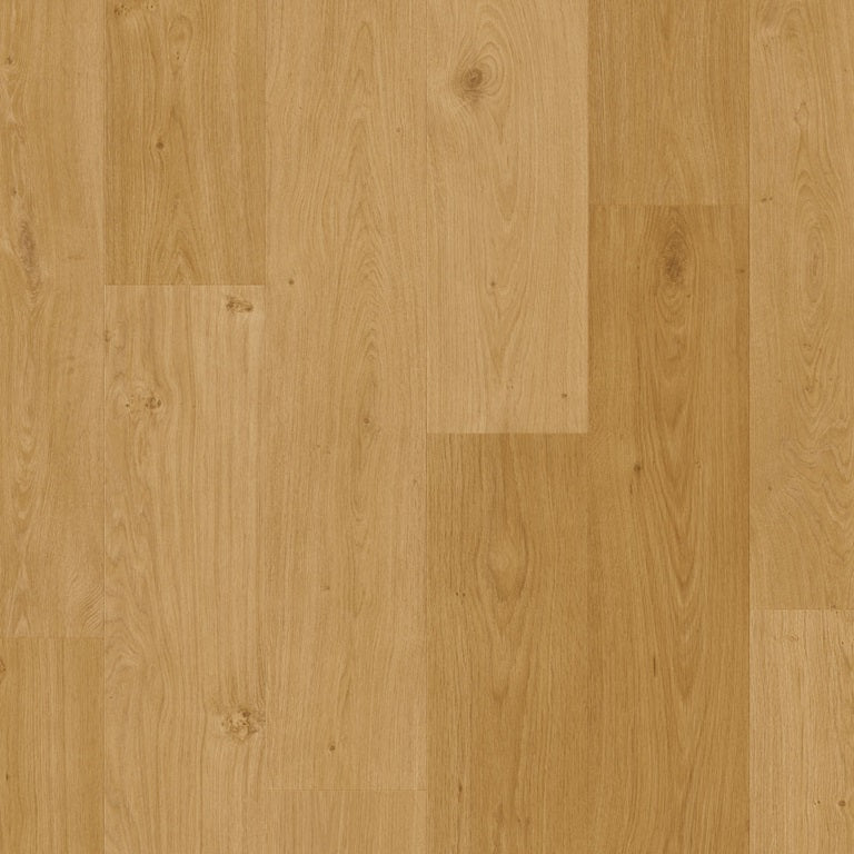 Coast oak honey AVSPT40320