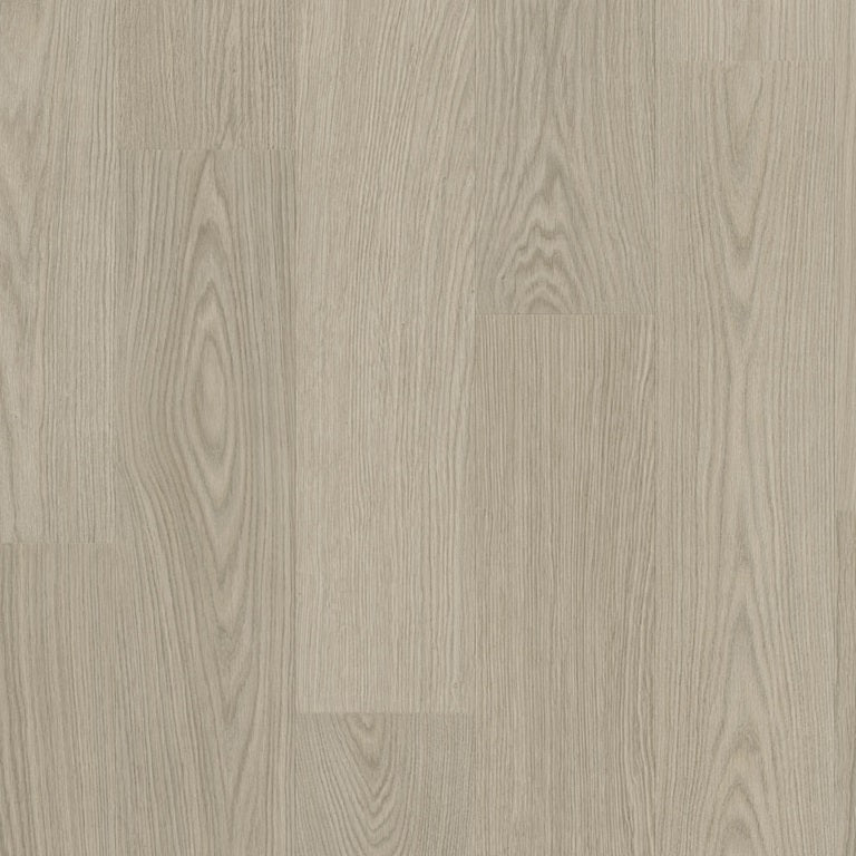 Chia oak AVSPT40280