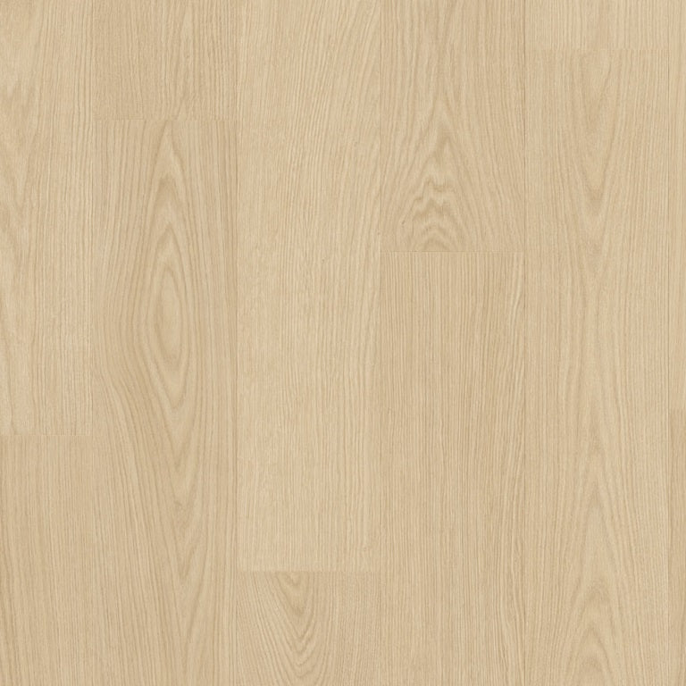 Buttermilk oak AVSPT40277