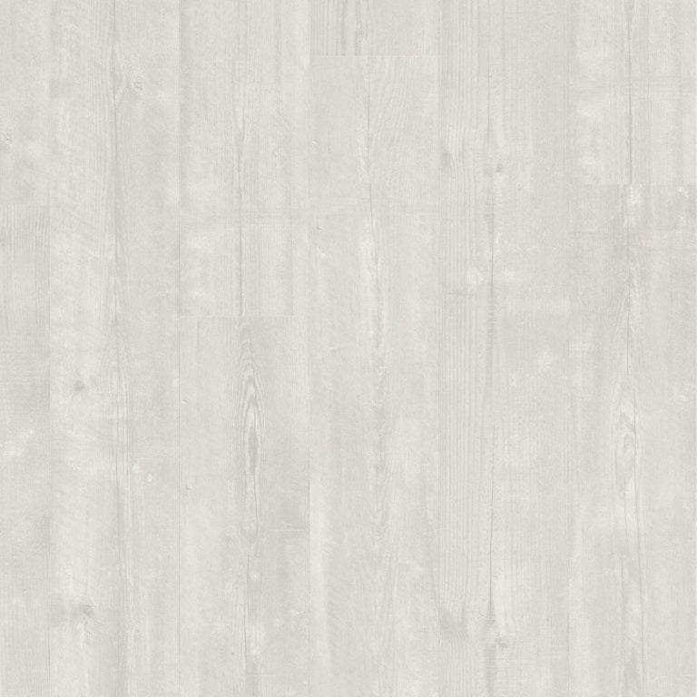 Snow pine AVMPU40204
