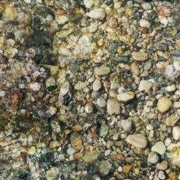 Flotex Vision Riverbed 000368 - Contract Flooring