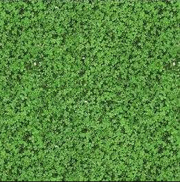 Flotex Vision Shamrock 000430 - Contract Flooring