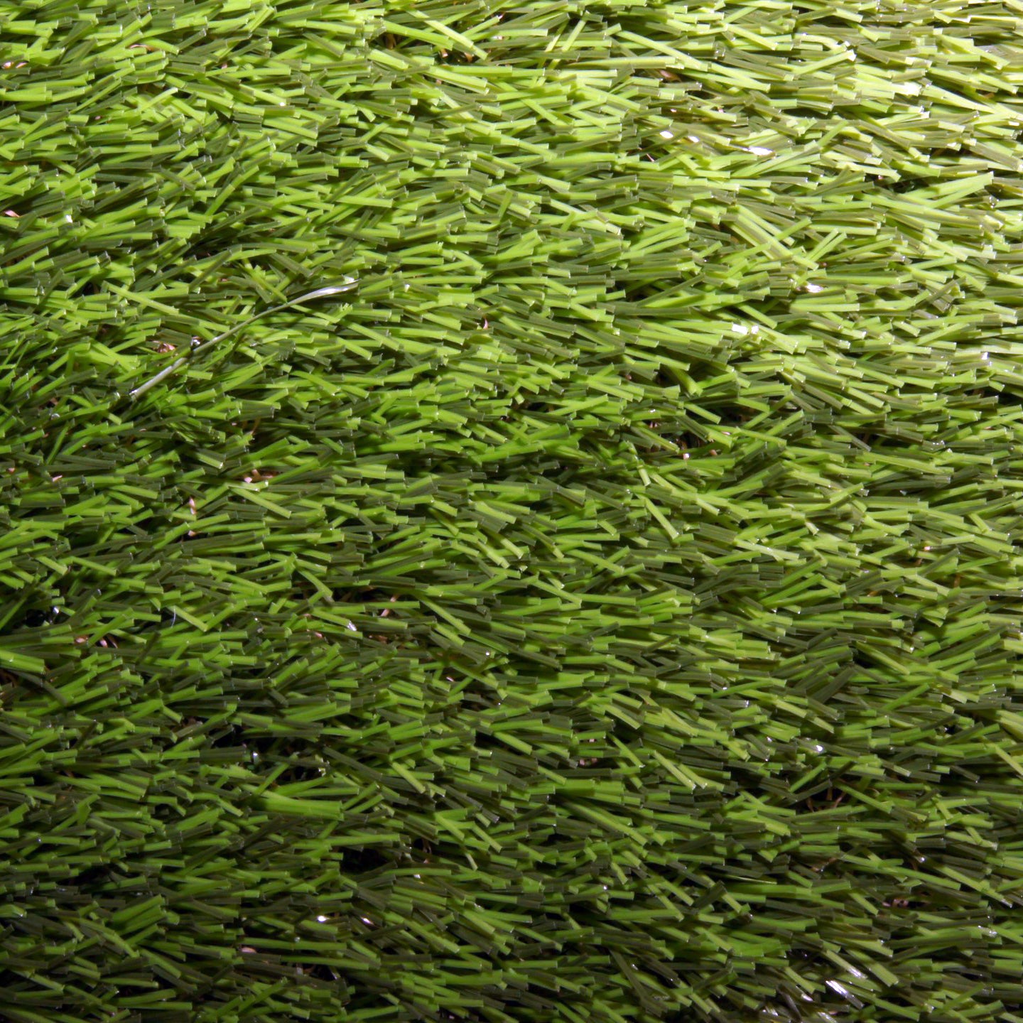 DAC ARTIFICIAL GRASS CHARISMA - Contract Flooring