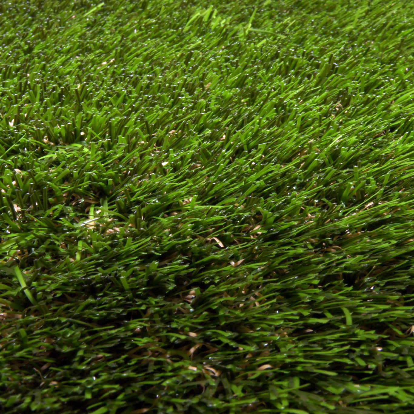 DAC ARTIFICIAL GRASS CHARISMA - Contract Flooring