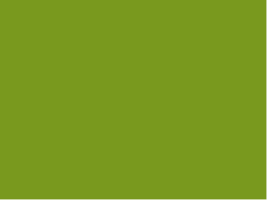 Bloc PUR Woodland Green 9941 - Contract Flooring