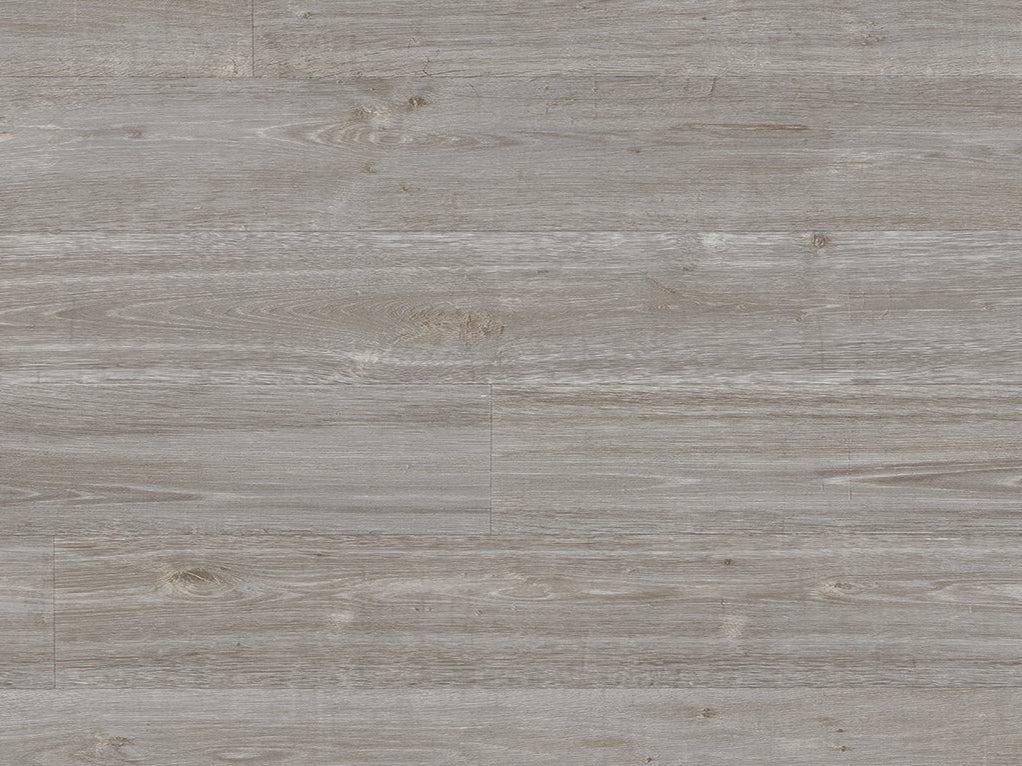 Silentflor PUR Silver Oak 9951 - Contract Flooring