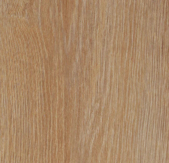 Forbo Allura Dryback 0.7 Pure Oak 60295DR7