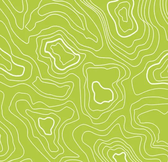 Sarlon Graphic Lime Topography