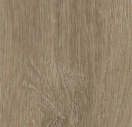 Forbo Allura Dryback 0.4 Light Giant Oak 60288DR4