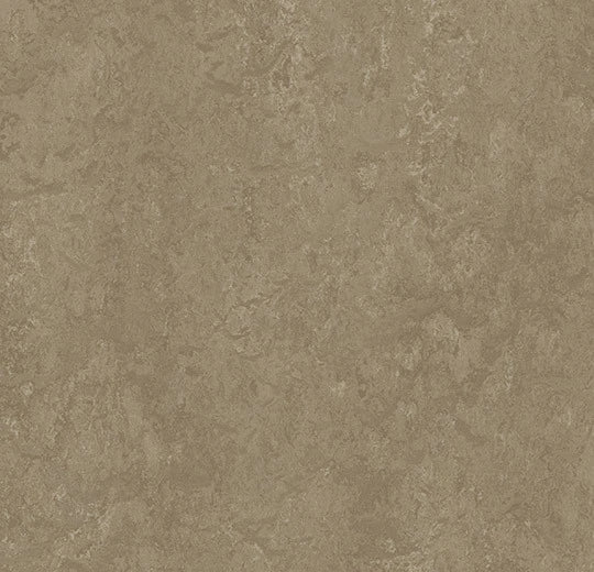 Forbo Marmoleum Modular t3252 sparrow