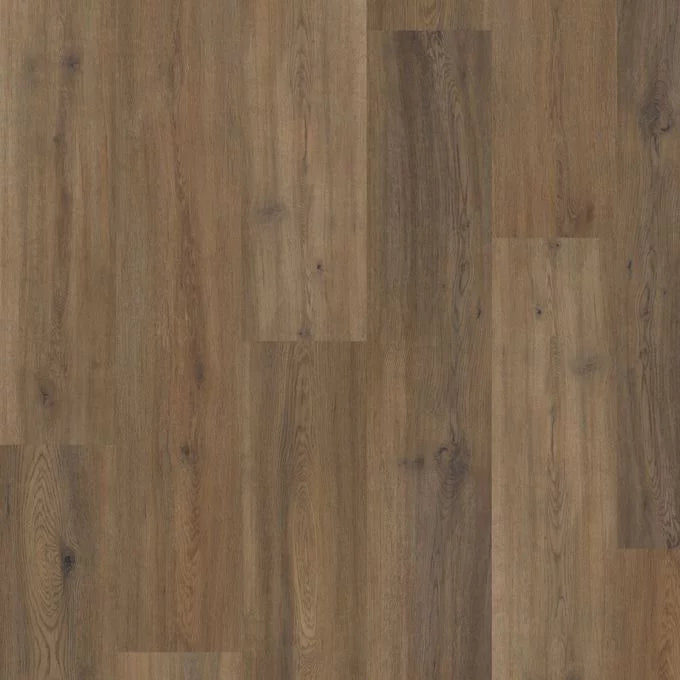 Polyflor Camaro PUR Astoria Oak 2259