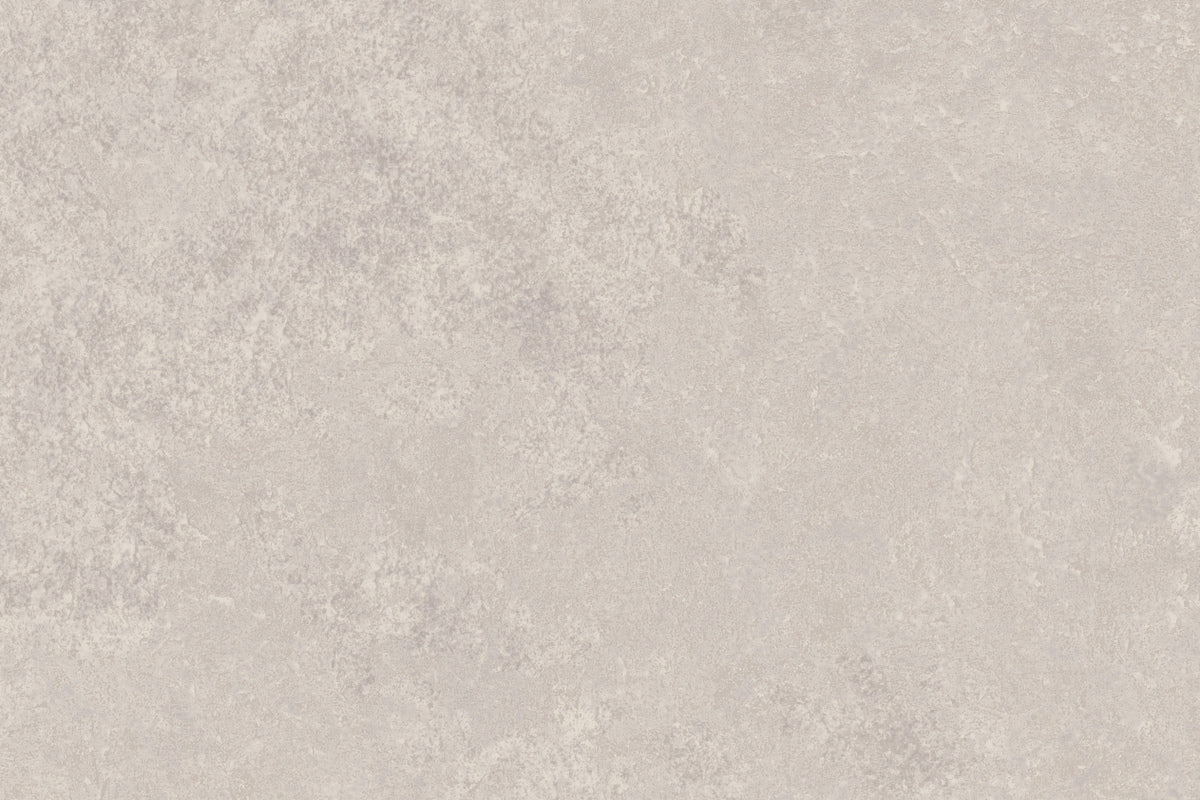 Altro Illustra Ammonite LU2416