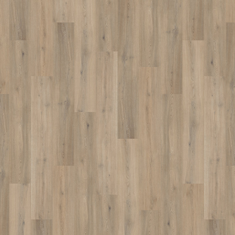 TLC Massimo Blond Oak PLK5277