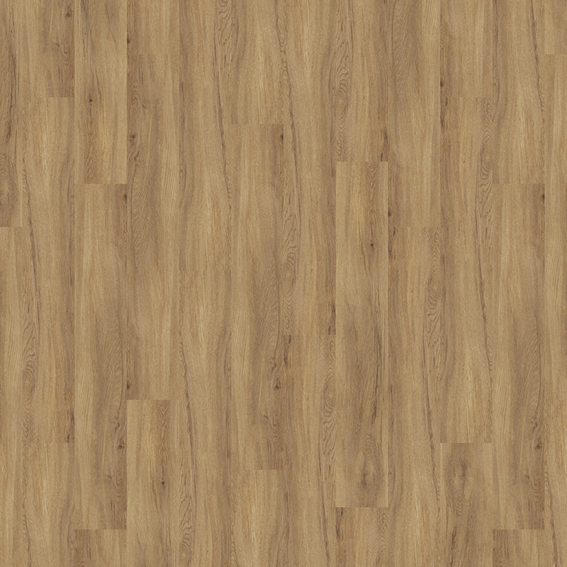 TLC Massimo Authentic Oak PLK5262